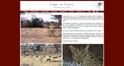 Desktop Screenshot of capecairo.com