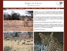 Tablet Screenshot of capecairo.com